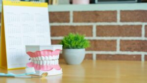 Denture model sitting in front of calendar 